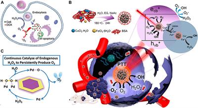 Nanomaterials for Tumor Hypoxia Relief to Improve the Efficacy of ROS-Generated Cancer Therapy